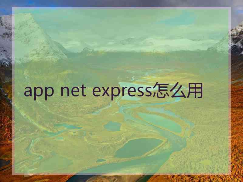 app net express怎么用