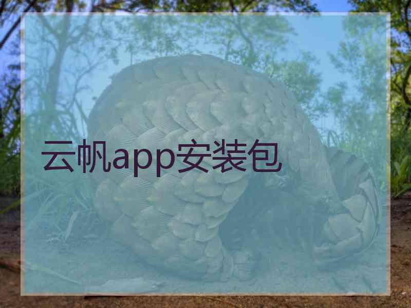 云帆app安装包