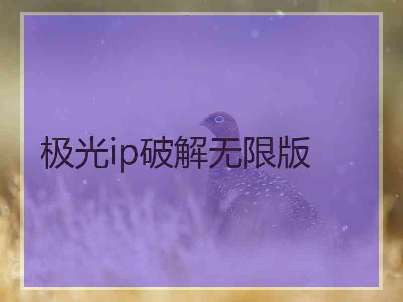 极光ip破解无限版