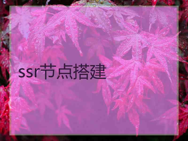 ssr节点搭建