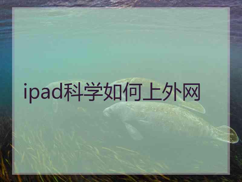 ipad科学如何上外网