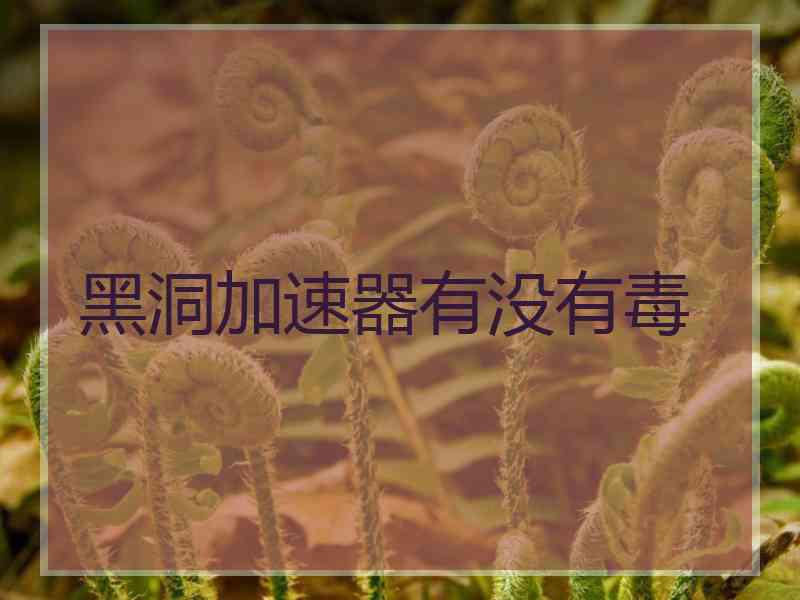 黑洞加速器有没有毒