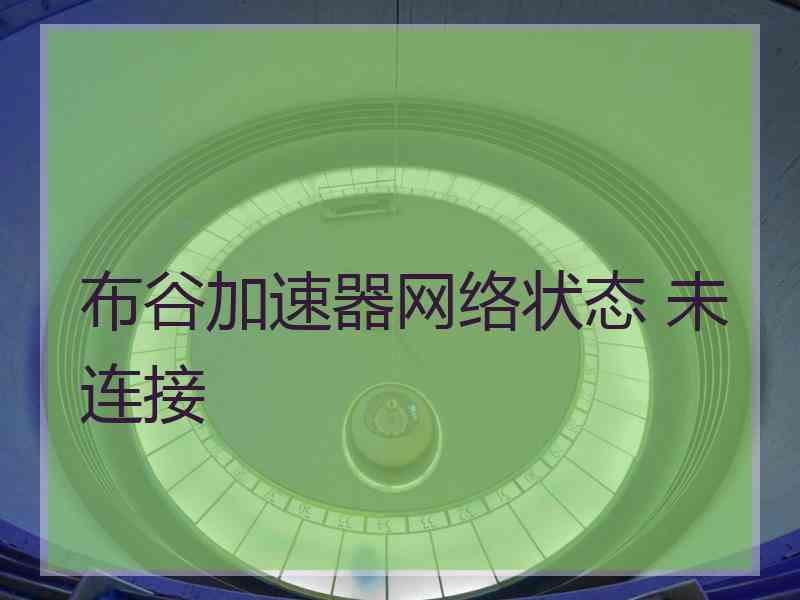 布谷加速器网络状态 未连接