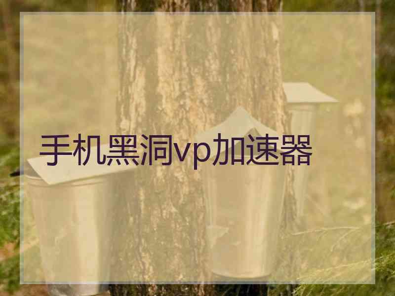 手机黑洞vp加速器