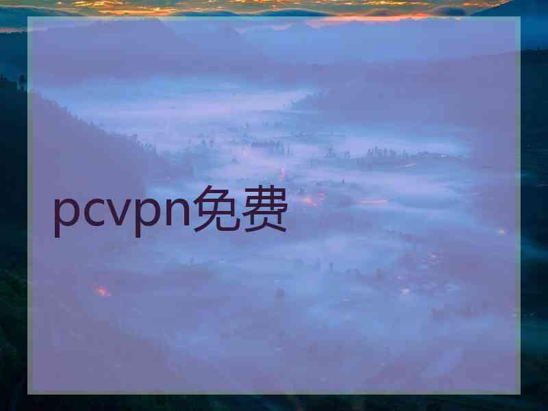 pcvpn免费