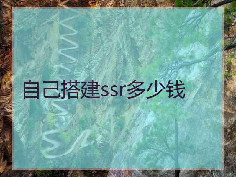 自己搭建ssr多少钱