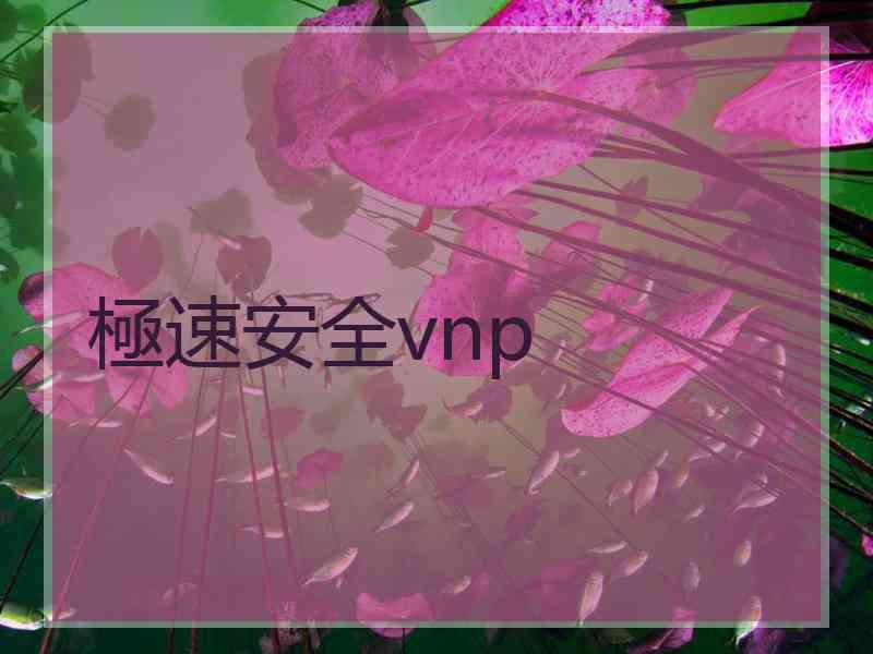 極速安全vnp