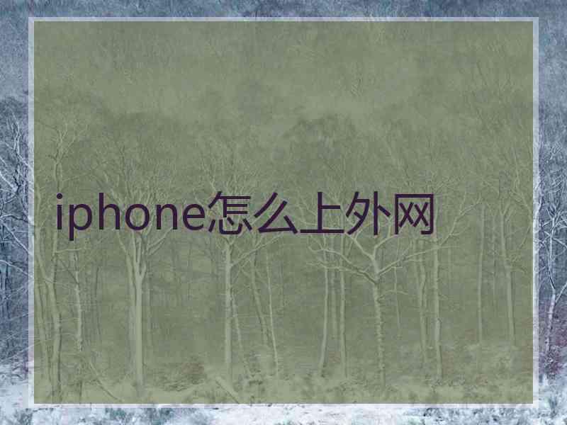 iphone怎么上外网