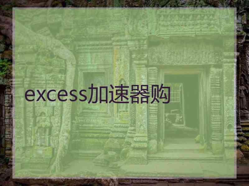 excess加速器购