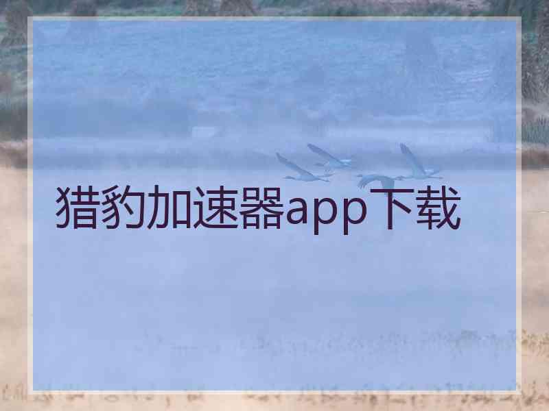 猎豹加速器app下载