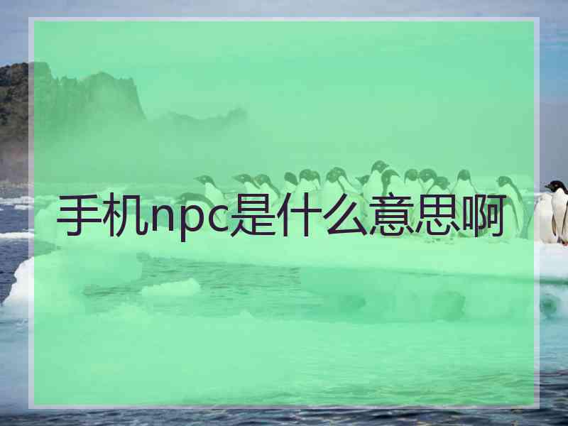 手机npc是什么意思啊