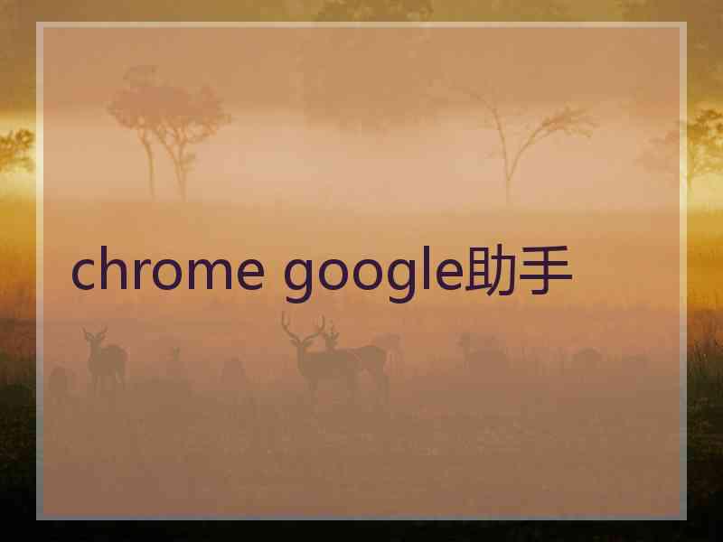 chrome google助手