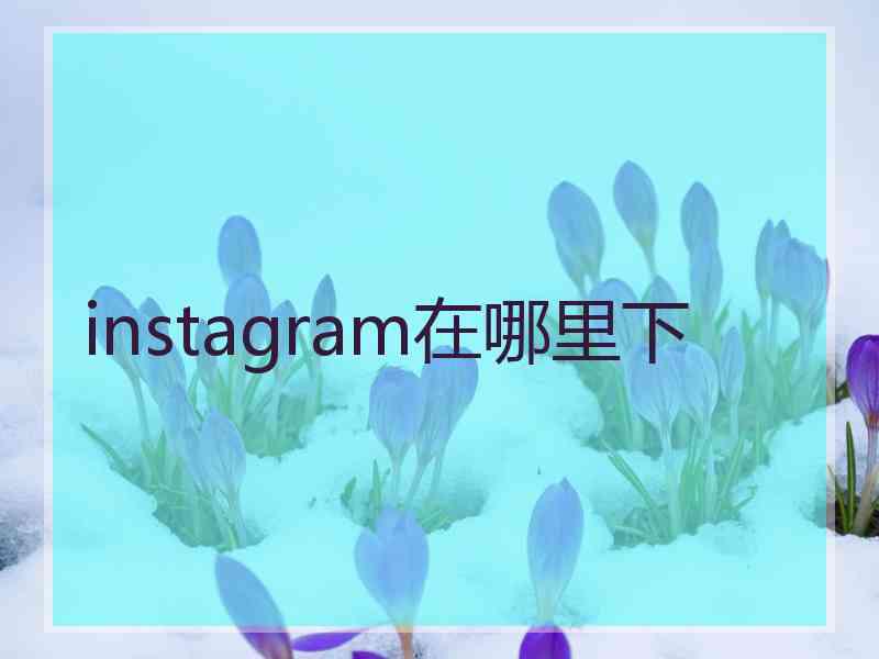 instagram在哪里下