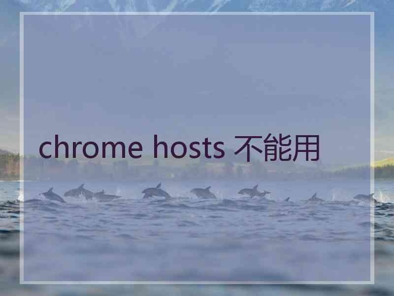 chrome hosts 不能用