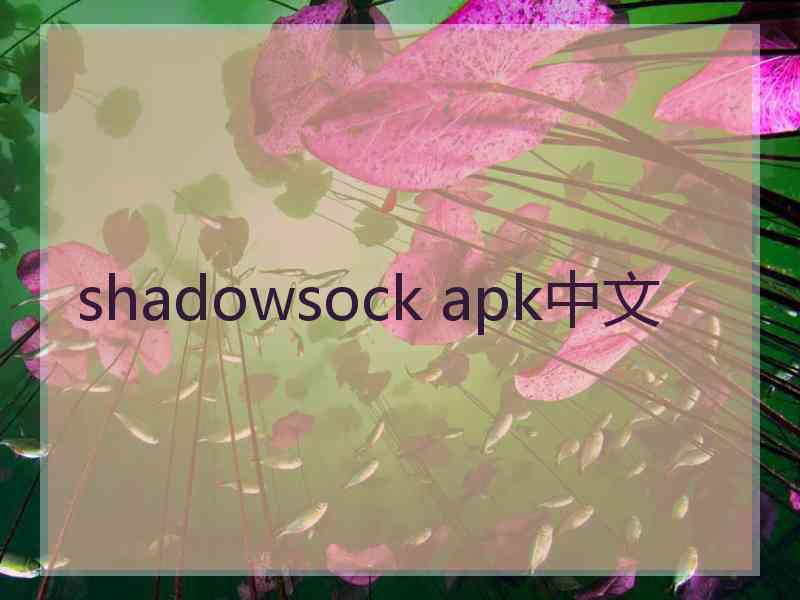 shadowsock apk中文