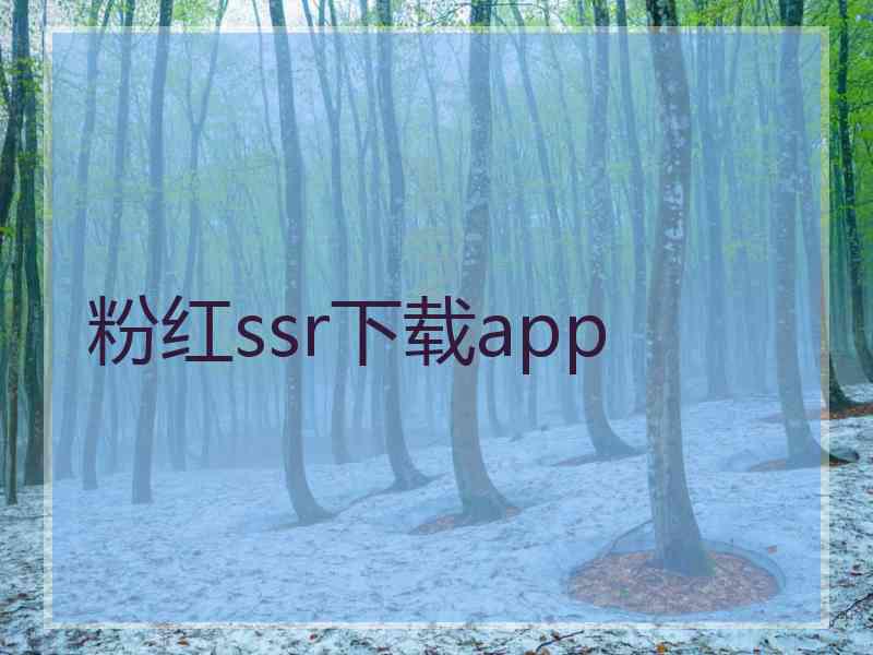 粉红ssr下载app