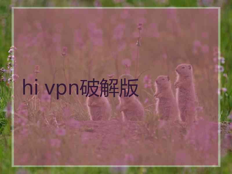 hi vpn破解版