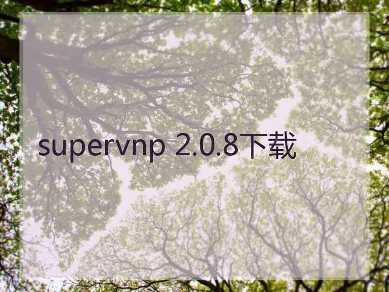 supervnp 2.0.8下载