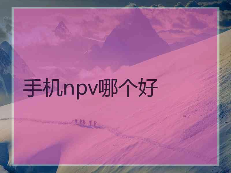 手机npv哪个好