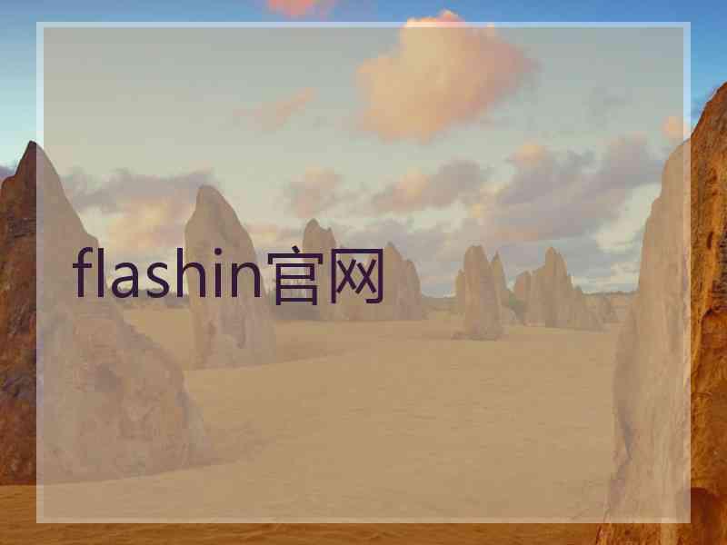 flashin官网