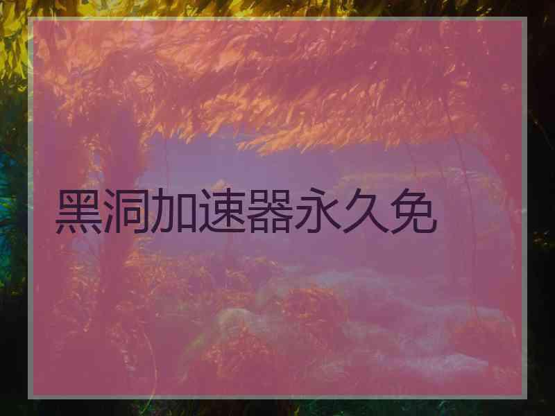 黑洞加速器永久免