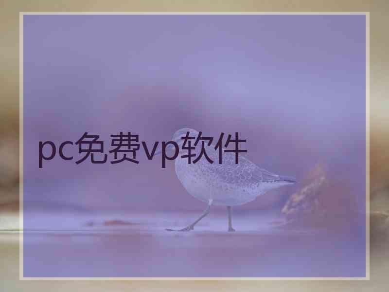 pc免费vp软件