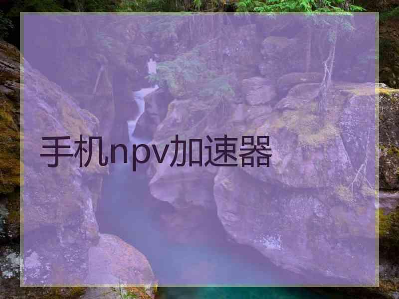 手机npv加速器