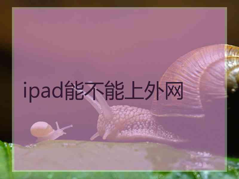 ipad能不能上外网