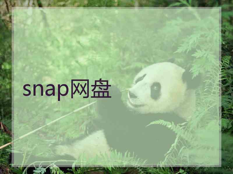 snap网盘