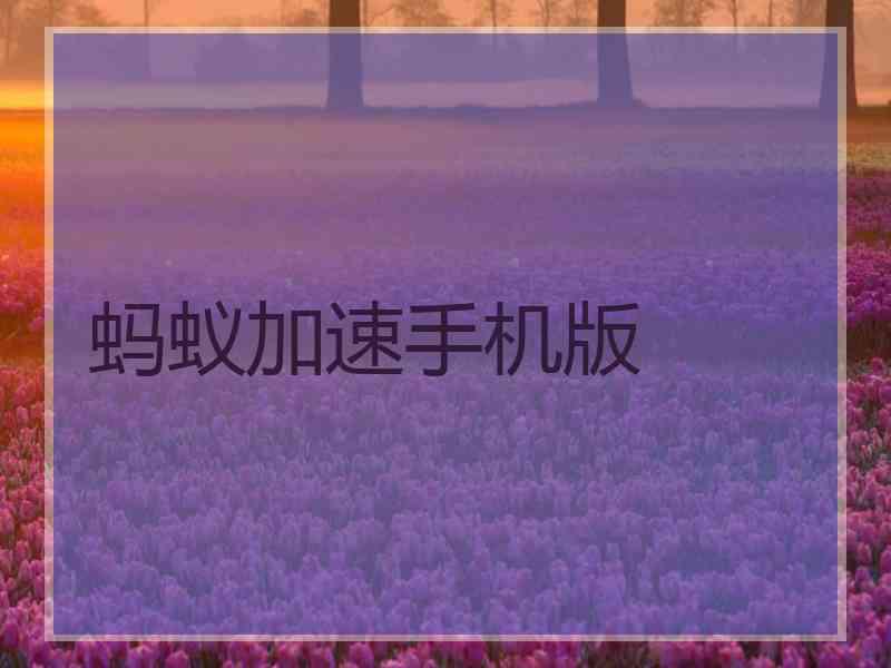 蚂蚁加速手机版