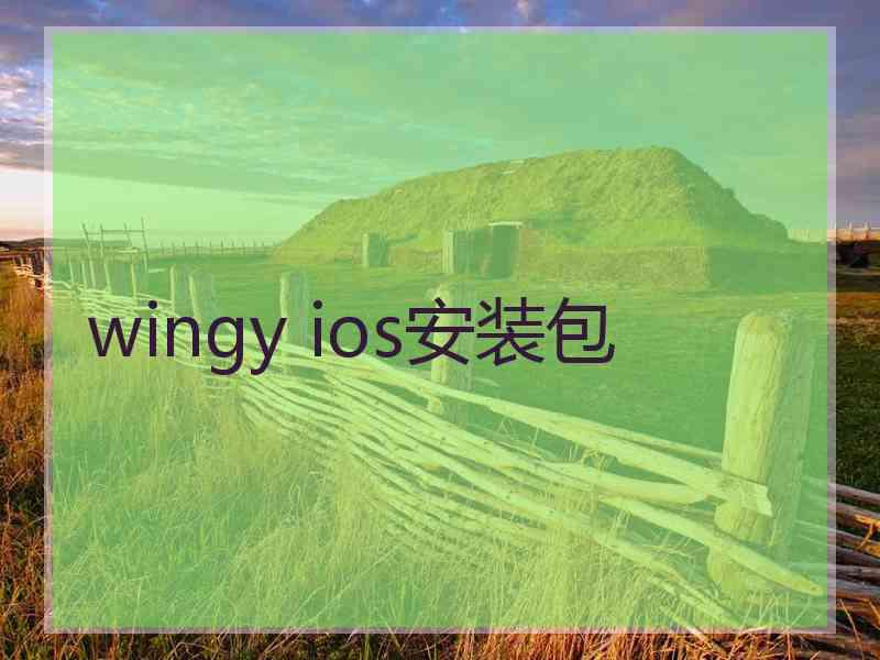 wingy ios安装包