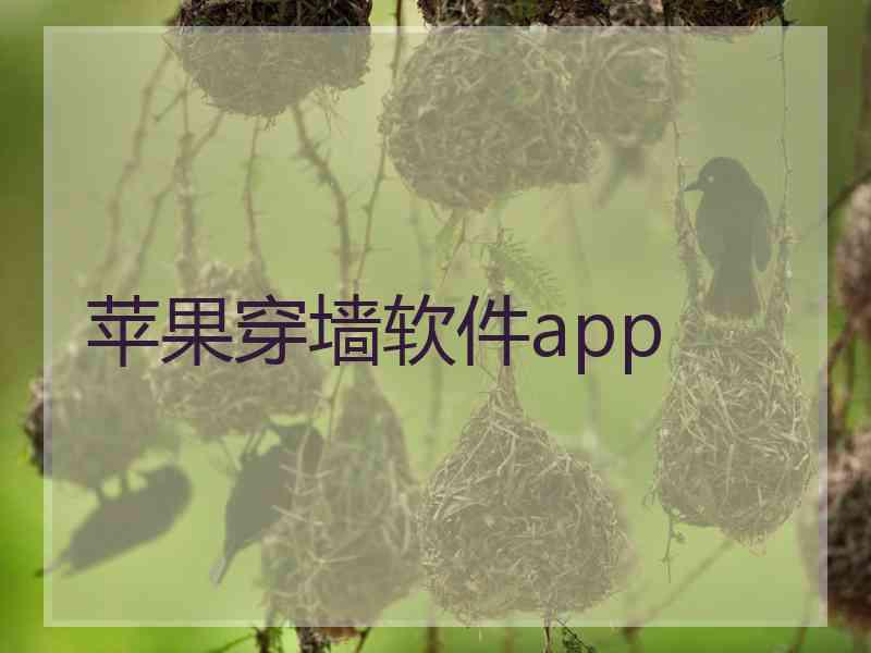 苹果穿墙软件app