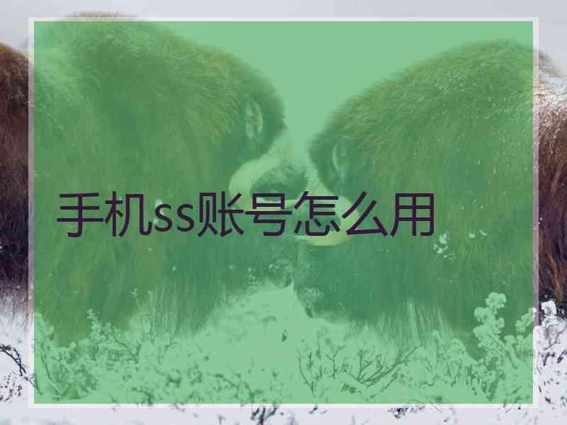 手机ss账号怎么用