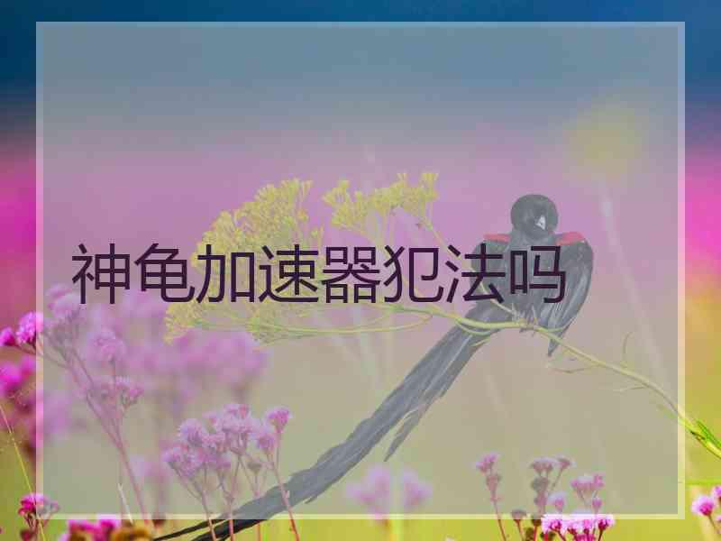 神龟加速器犯法吗