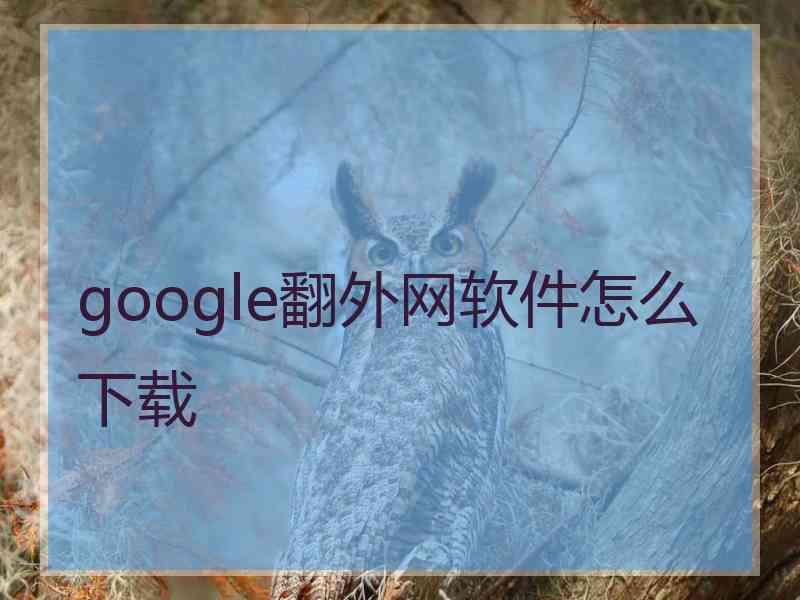 google翻外网软件怎么下载