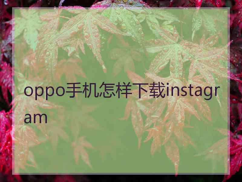 oppo手机怎样下载instagram