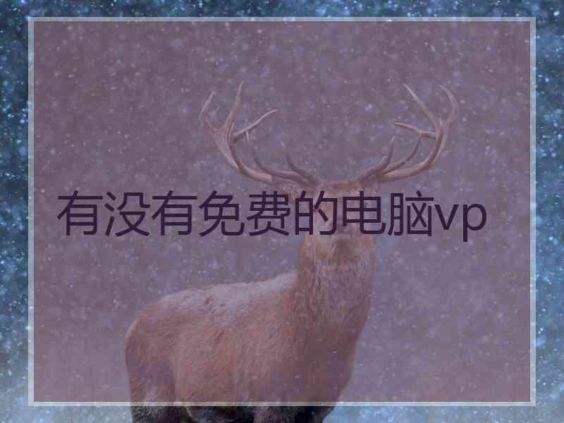 有没有免费的电脑vp