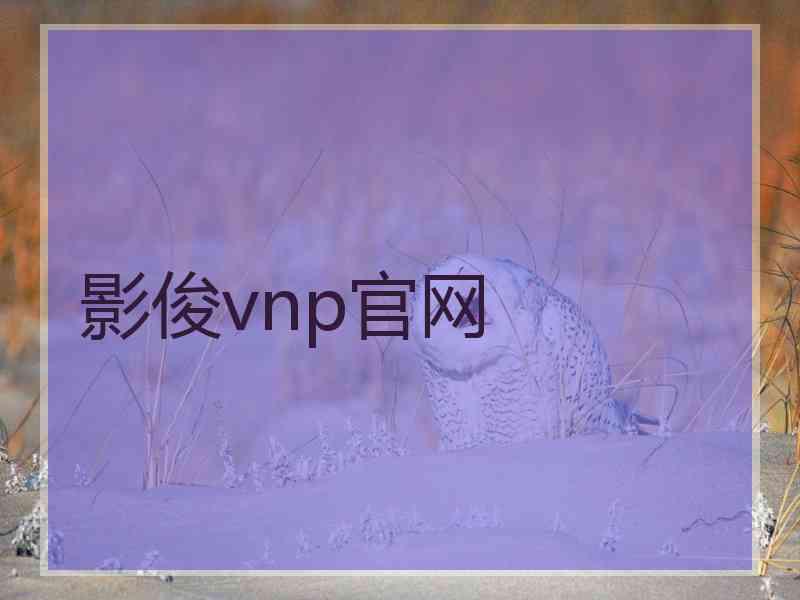 影俊vnp官网