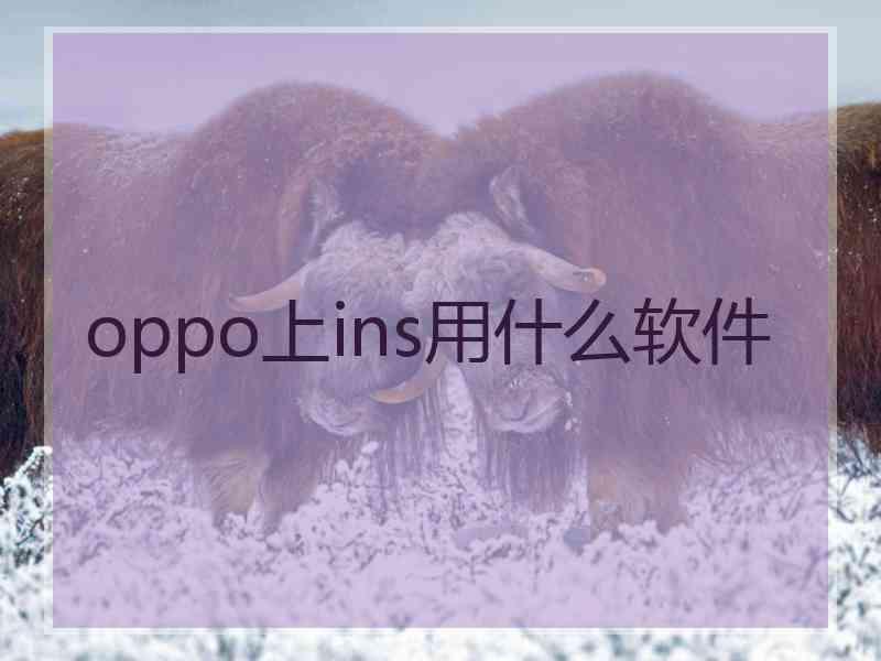 oppo上ins用什么软件