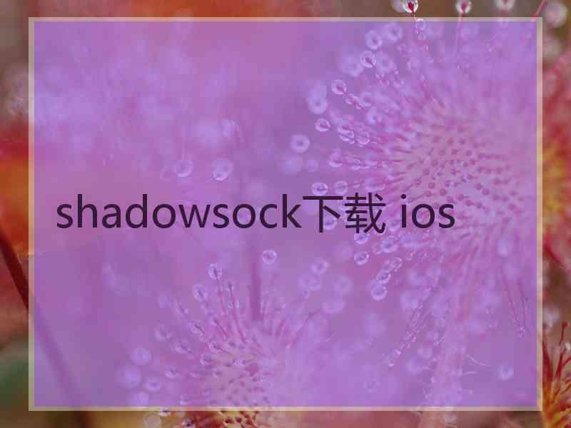 shadowsock下载 ios