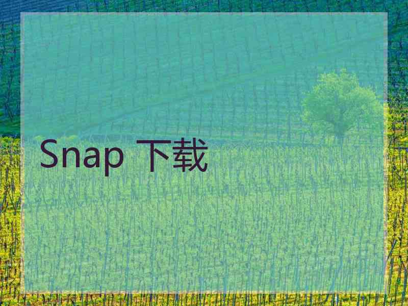 Snap 下载