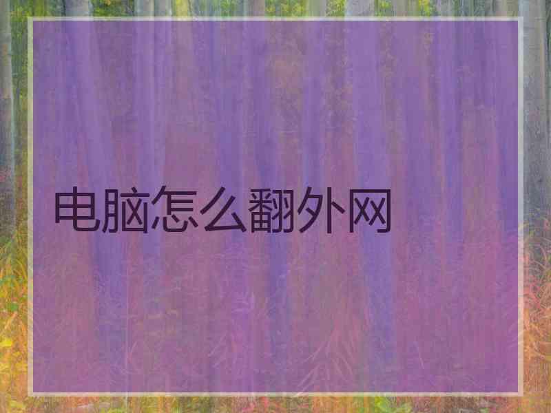 电脑怎么翻外网