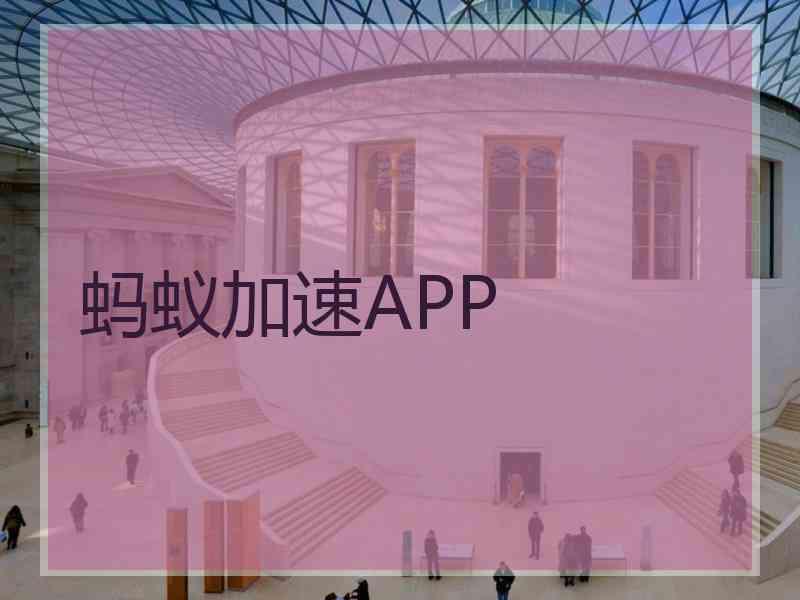 蚂蚁加速APP