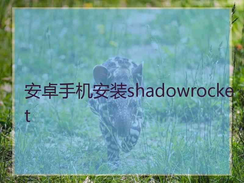 安卓手机安装shadowrocket