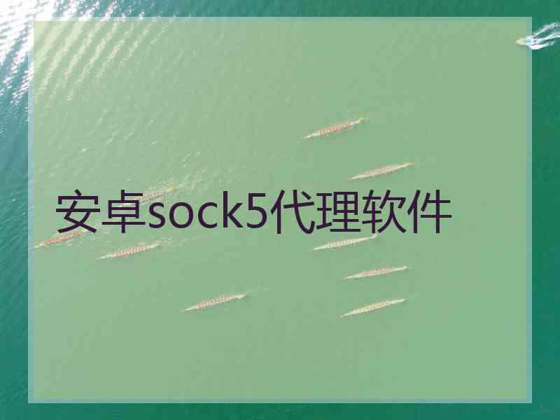 安卓sock5代理软件