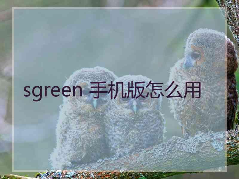 sgreen 手机版怎么用