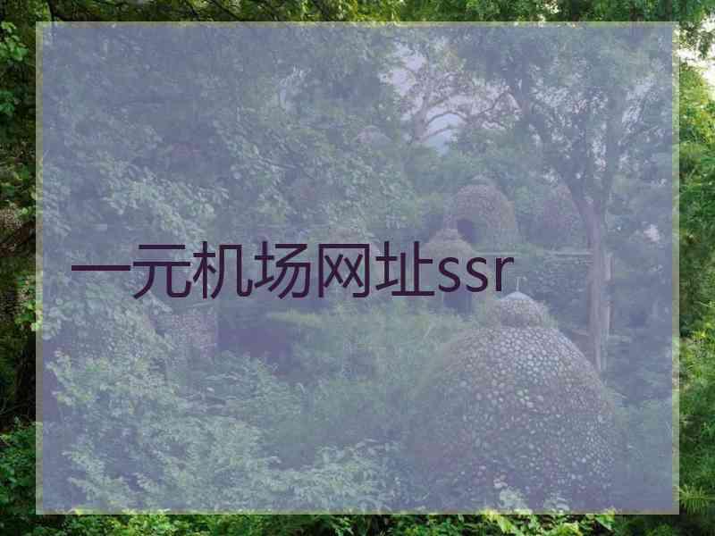 一元机场网址ssr