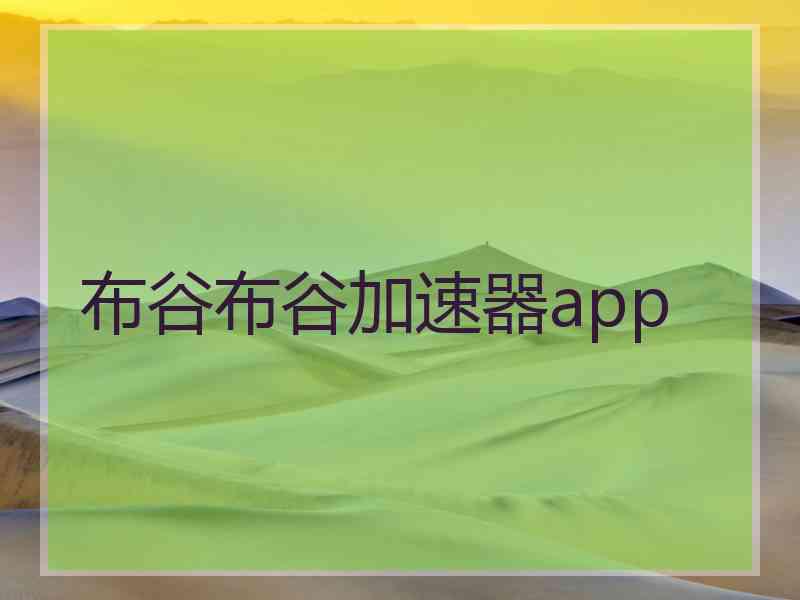 布谷布谷加速器app