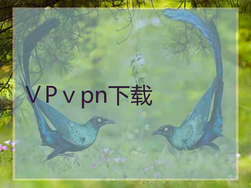 ⅤPⅴpn下载