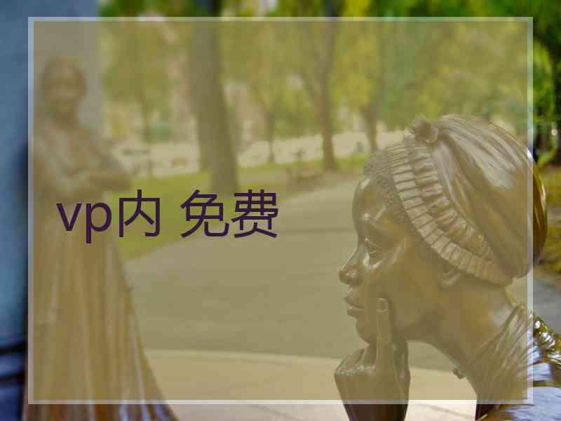 vp内 免费